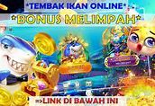 Slot Terbaru Ikan Ikan Hiu Terbaru